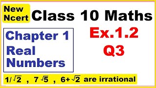 Class 10 Maths  Ex12 Q3  Chapter 1  Real Numbers  New NCERT [upl. by Rehpotsirc]