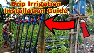 How to Make Drip Irrigation for Fertilizer Application [upl. by Earal167]