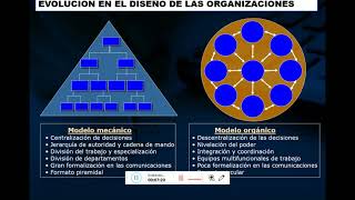 Diseño organizacional evolución de los modelos organizacionales [upl. by Aihsitan]