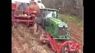 Allan Equipment 6 Row Potato Harvester [upl. by Yelsek]