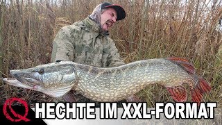 Hechte im XXL Format  Hechtangeln mit Köderfisch  Deadbaiting by Stefan Seuß [upl. by Adamis]