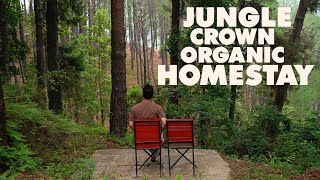 Best Homestay In NAGARKOT  Jungle Crown Organic Homestay [upl. by Auhel]