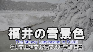 福井の雪景色８選【動画紀行・福井県】The Snowy Landscape in Fukui [upl. by Rimhsak95]