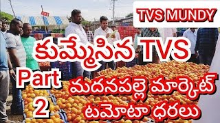 181124 Madanapalle Tomato Market price Today  Today Tomato Market Rate in Madanapalle today [upl. by Gerti]