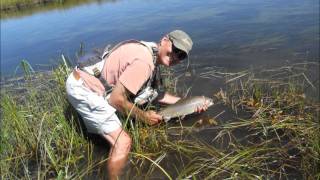 Fly Fishing Goodrich Creek at Lake Almanor Basin [upl. by Aihsekal]