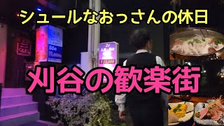 【刈谷】刈谷の歓楽街 個室居酒屋で、柚子炊きしゃぶしゃぶ シュールなおっさんの休日 Night walk in Kariya [upl. by Amble]