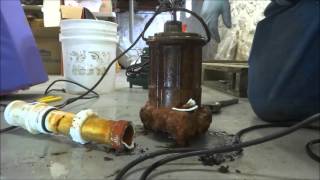 submersible sump pump replacement ZoellerLiberty [upl. by Marian]