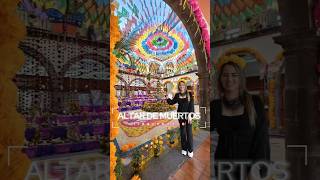 Hermoso Altar de Muertos Tlaquepaque 🏵💜💙💚💛🧡❤️🏵 altardemuertos tlaquepaque viralvideo [upl. by Philly]