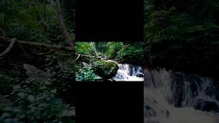 Morni baaga ma bole  beautiful small river flowing over the forests music video shots viral🥰 [upl. by Kessia]