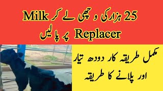 Calf rearing with milk replacer II Best milk replacer for calves II ddrMuzzammil Hassan [upl. by Ermey]