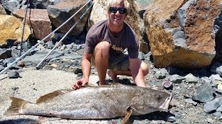 Breakwall Jewfish Port Macquarie [upl. by Favianus538]