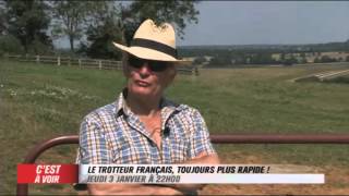 EXTRAIT  Le trotteur français toujours plus rapide  Equidia Live [upl. by Lamdin]