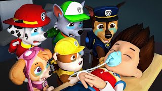 Paw Patrol Ultimate Rescue  RYEDR FUNERAL  Ryder please dont leave  Rainbow [upl. by Nagaek]