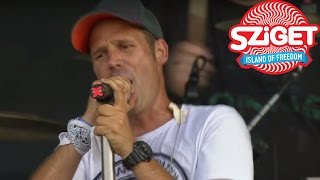 Ocho Macho Live  Sziget 2015 [upl. by Jacobson]