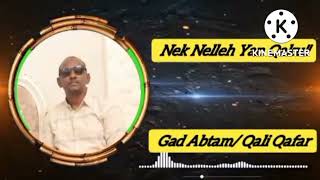 Ali Afar New Ethiopian Afar Music Qali Qafar Qusba gada2022 hopemusicethiopia [upl. by Ahsirkal]