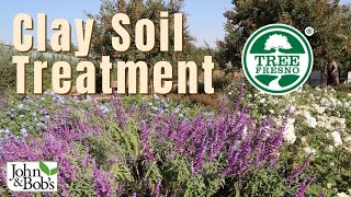 Clay Soil Treatment  Tree Fresno Demonstration Garden No Tilling [upl. by Hanaj]