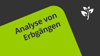 Übung zu Der Stammbaum  Analyse des Erbganges  Biologie  Genetik [upl. by Eenahpets19]