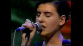 Elastica  Vaseline Later with Jools Holland [upl. by Enyleuqcaj]