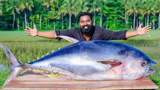 50 Kg  Tuna Fish ThavaFry  ഇത്രക്ക് വലിയ മീനെ പൊരിച്ചുകഴിച്ചാലോ  M4 Tech [upl. by Gilpin]