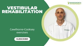 Vestibular rehabilitation [upl. by Filip672]