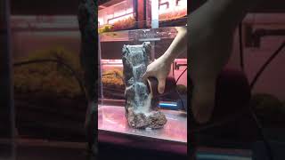 Set up an Amazing Water fall in fish tank  Unique Aquarium set up ideas  Sak Lo Fish TV [upl. by Tia547]