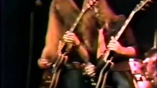 Doobie Brothers Sweet Maxine Live at Alpine Valley 1979 Part 5 [upl. by Nylirahs348]