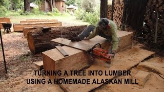 Turning a tree into lumber using a homemade Alaskan Mill [upl. by Eniahs]