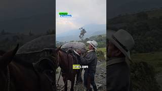 Un homenaje a los campesinos y arrieros de Colombia 🇨🇴 antioquia medellin medellín [upl. by Ronda]