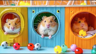 Hamster Escapes the DIY Minecraft Maze Adventure 🐹 Hamster Maze [upl. by Dihahs]