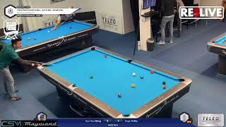 HanHao Wong vs Roger Pelke Dienstagsturnier 9 Ball 5112024 Billardfreunde Bremen [upl. by Eelime861]