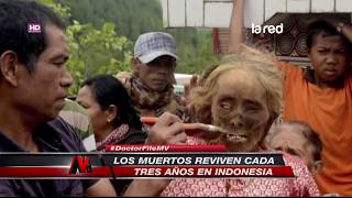 El sorprendente ritual mortuorio de Indonesia en donde los muertos reviven [upl. by Stoughton846]