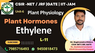 Ethylene  Biosynthesis amp Signaling  Plant Hormones  Plant Physiologygenesisinstitute [upl. by Agle]