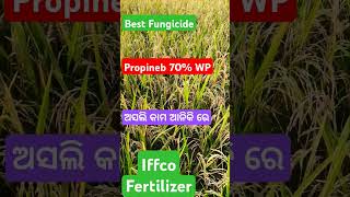 Iffco fertilizer Propineb 70 WP best Fungicide  ଭଲ କବକ ନାଶକshorts ytshort [upl. by Ace11]