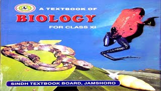 1015 CLASS MAMMALIA  CHAPTER 10KINGDOM ANIMALIA  FIRST YEAR BIOLOGY [upl. by Ahseital]