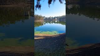 Chollas Lake Morning Walk [upl. by Merrow]