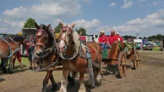 Titanen der Rennbahn 2016 Schlaglichter [upl. by Ennaej605]