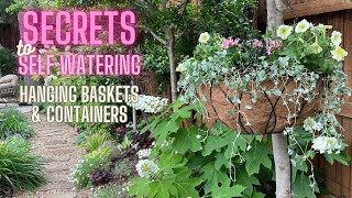 NEVER hand water again WHAAAT My selfwatering secrets amp containergardening hangingbasket ideas [upl. by Candi]