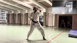 Gojushiho Sho  Kata form – Quan Li Kan version [upl. by Burny]