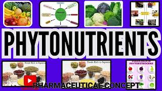 WHAT ARE PHYTONUTRIENTS or PHYTOCHEMICALS 2024  Pharmaceutical Concept  PC [upl. by Ballard831]