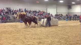 Orangeville Horses Pull 18000 lbs 2013 [upl. by Htebazil960]