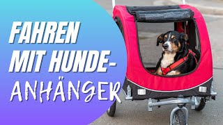 Hund an Fahrradanhänger gewöhnen  Schritt für Schritt Anleitung [upl. by Dania772]