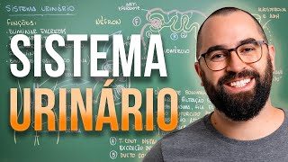 Sistema Excretor URINÁRIO  Aula 30  Módulo 7 Fisiologia Humana [upl. by Lertram441]