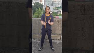 5 Basic Stances in Arnis [upl. by Roede]