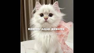 Bondhu amar roshiya seedup song speedupsong [upl. by Nottage]