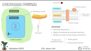 Admisión UPCH Cayetano Heredia Examen para ganadores [upl. by Hada]