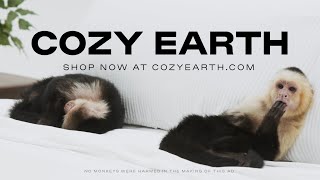 Cozy Earth Sheets Little Monkey Approved [upl. by Keily]