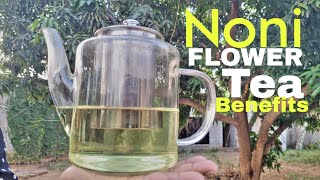 Noni flowers health benefits and how to use them [upl. by Mandy315]