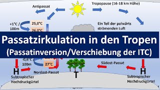 Passatzirkulation Passatkreislauf in den Tropen HadleyZellePassatinversion Erdkunde Oberstufe [upl. by Hnib]