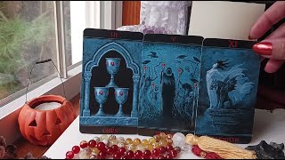 AQUARIUS🎃 OCTOBER 2024 TAROT  A REASON TO CELEBRATE [upl. by Hermann]