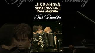 JBrahms  Symphony №3 Poco Allegretto 37 Zavadsky brahms accordion symphonymusic orchestra [upl. by Ttenna]